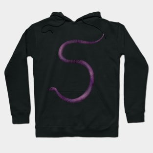 5 - Common purple-glossed snake Hoodie